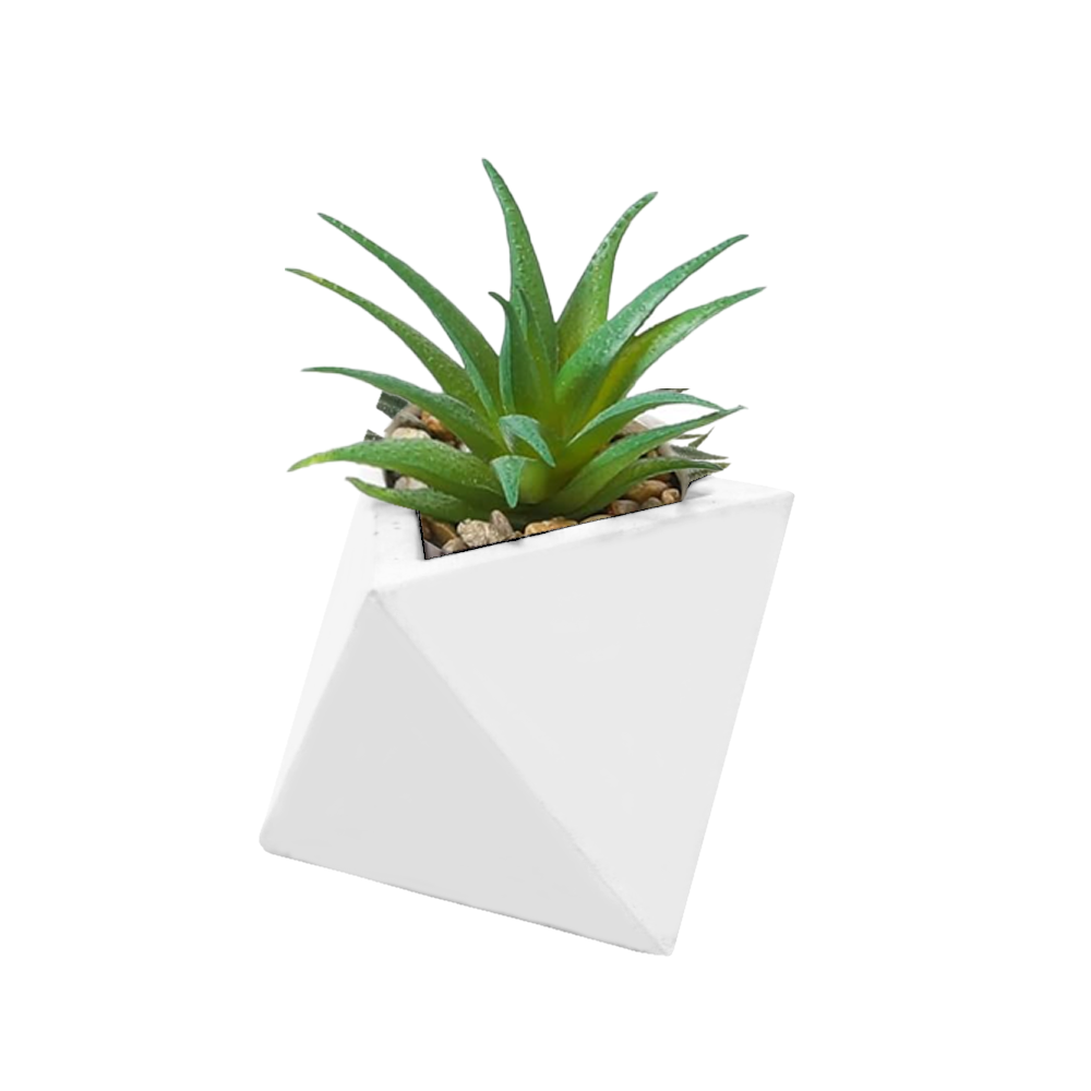 Plantas Decorativas Suculentas con Base Triangular | INSPIRA IN HOME